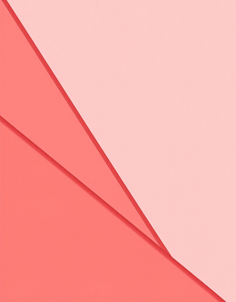 Правила Выбора Всего. Блок 4 «Базовый гардероб» (Юлия Катькало)