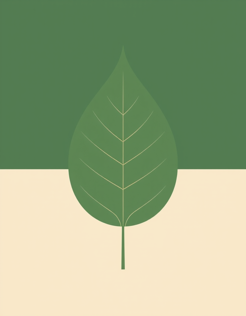 Марафон похудения (Анастасия Лисова)