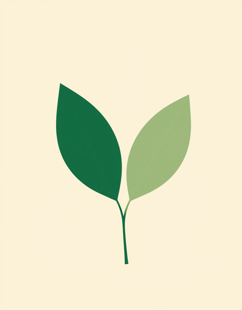 Новая жизнь. Проект коррекция веса. Тариф Я сама (Ева Шишова)