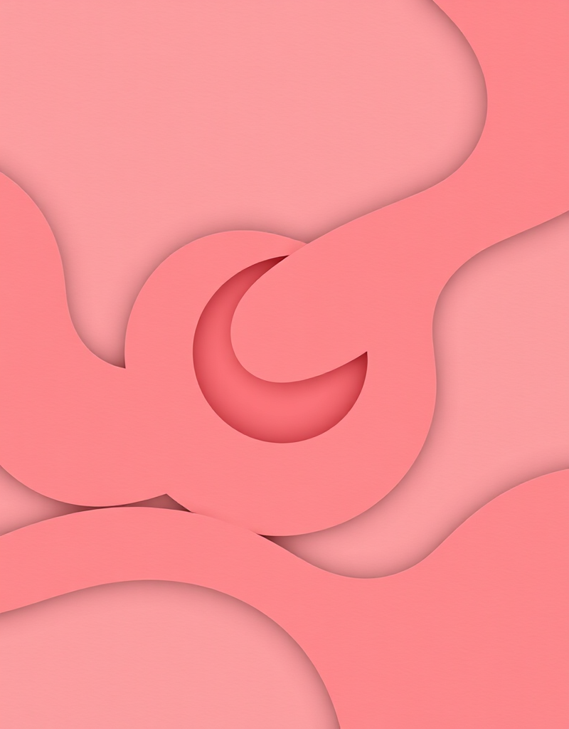 Братья и сестры. Война и мир (Людмила Петрановская)