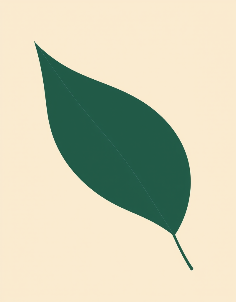 Ваша растяжка не знает границ (Самира Мустафаева)