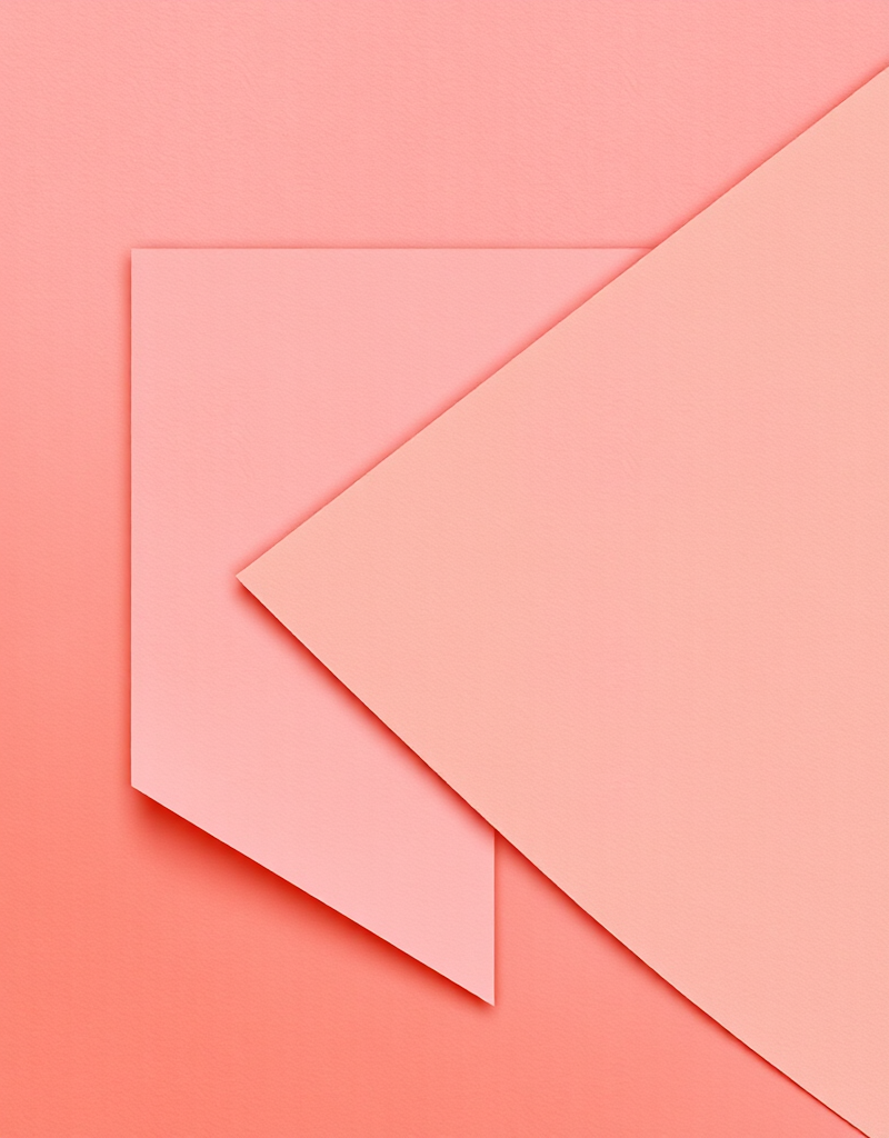 [Samouchka School] Зарисовка собаки мягким карандашом (Татьяна Тожокина)