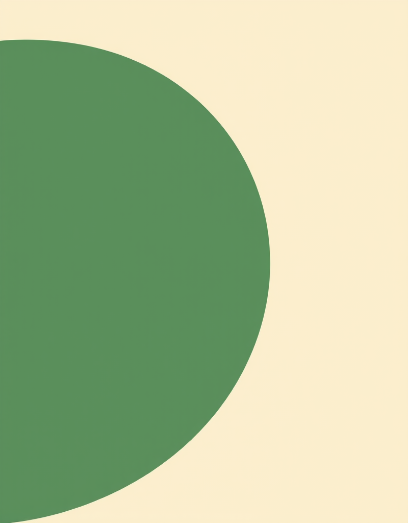 Танец живота 0 уровень (Самира)