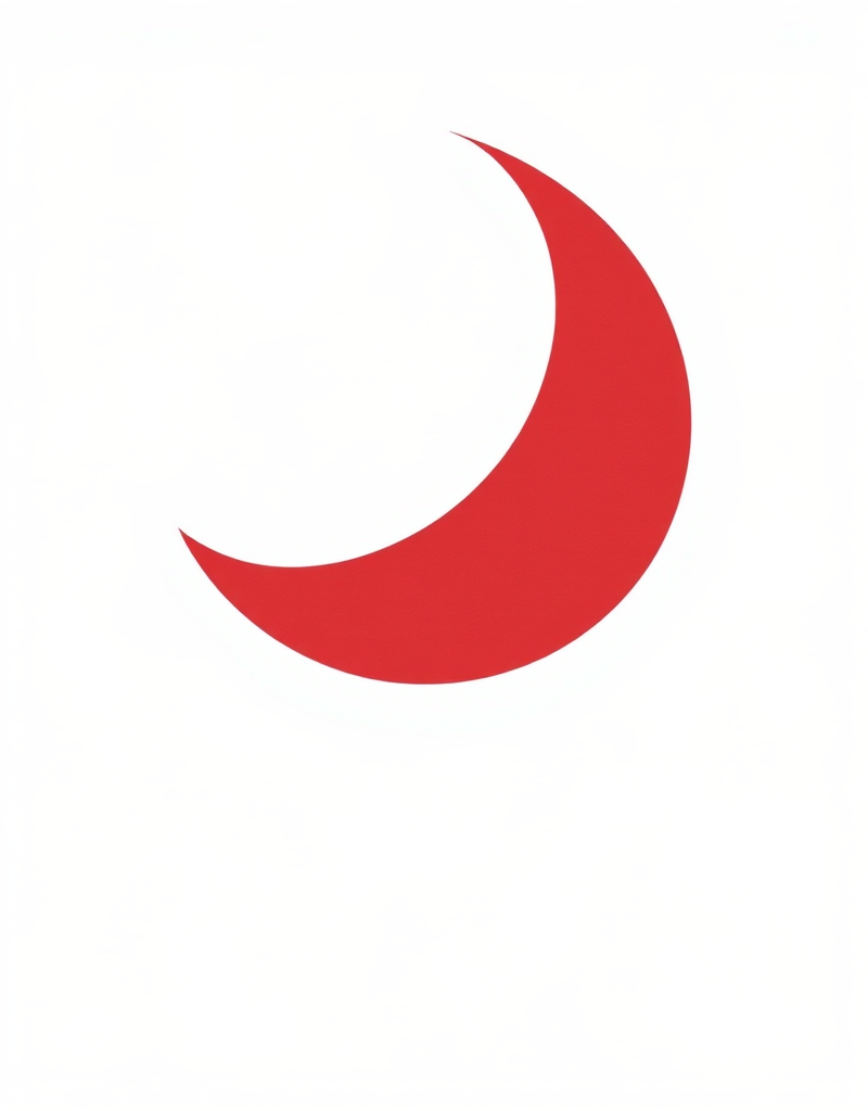 JOURNAL WI август 2019 (Светлана Керимова)